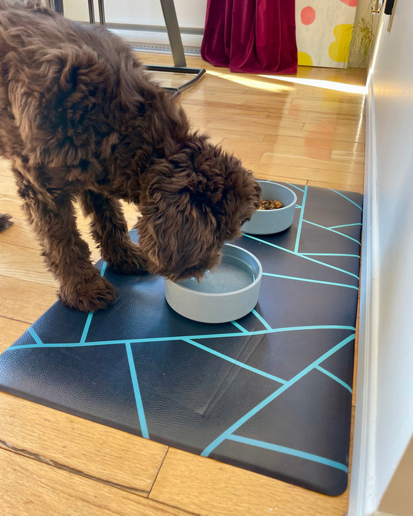 Pet food mat | avant-garde teal