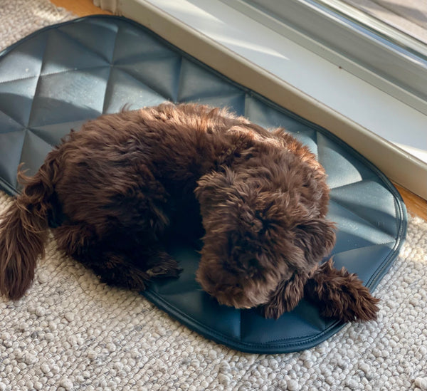 Padded Pet Bed | 16"x30" | Navy Blue