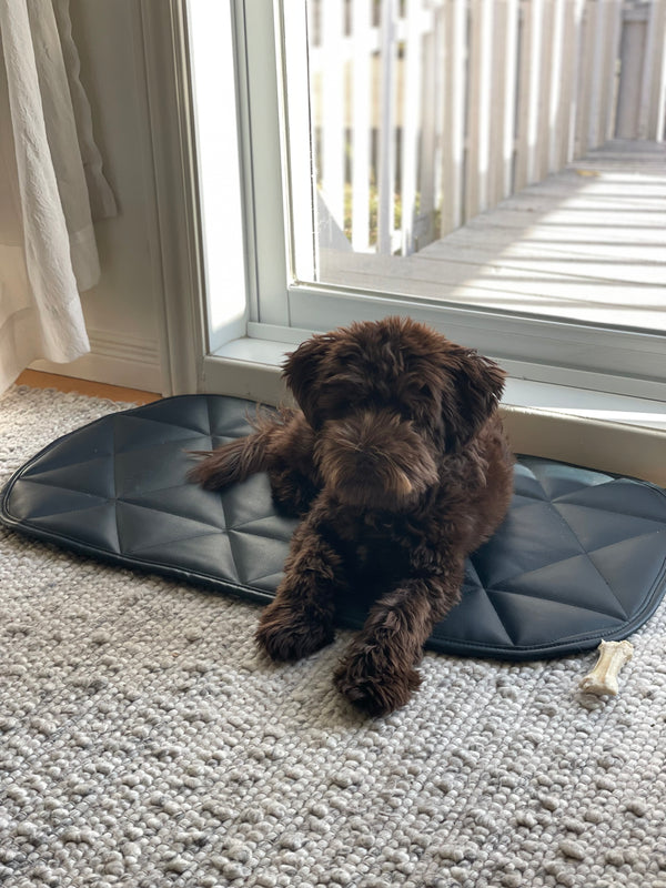 Padded Pet Bed | 16"x30" | Navy Blue
