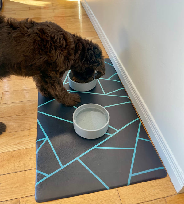 Pet food mat | avant-garde teal