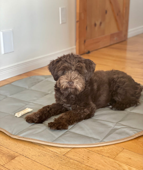 DOG TRAVEL BED | 35'' |  Tan + Gray