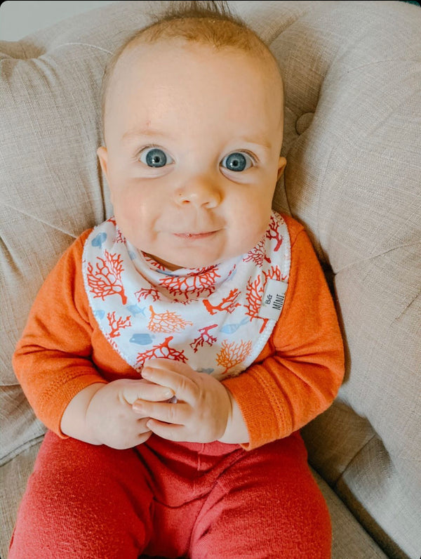 Organic Bibs | Endangered species