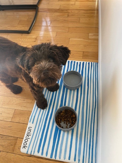 Pet Food mat | Beachy