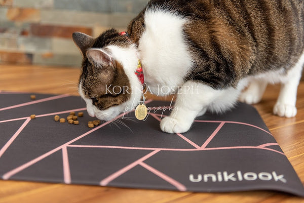 Pet food placemat | avant-garde pink