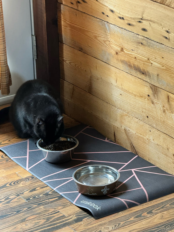 Pet food placemat | avant-garde pink