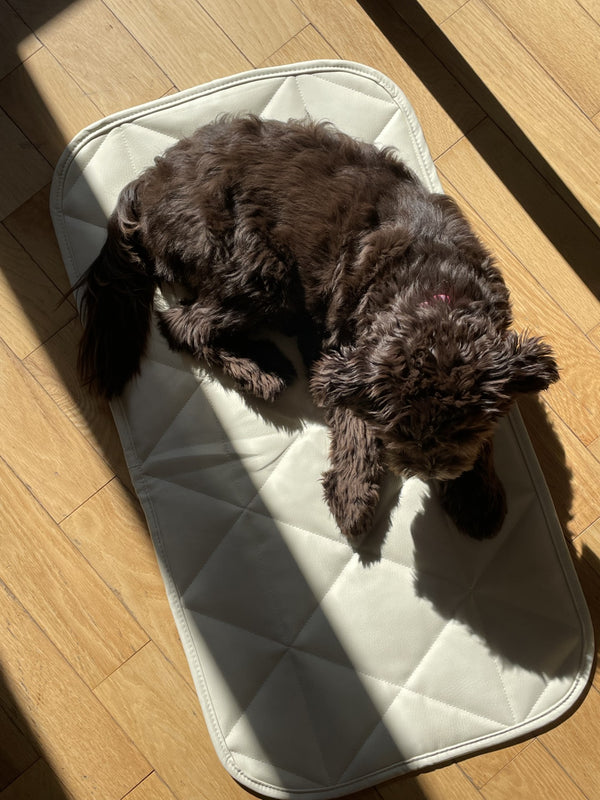 TRAVEL DOG BED | 16"x30" | Cream