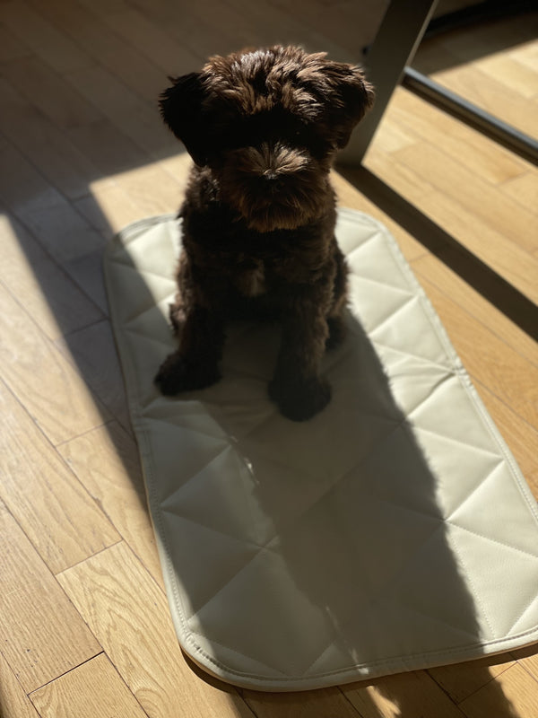 TRAVEL DOG BED | 16"x30" | Cream