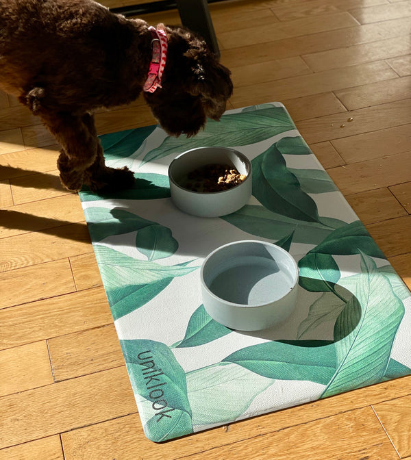 Pet food mat | Outside