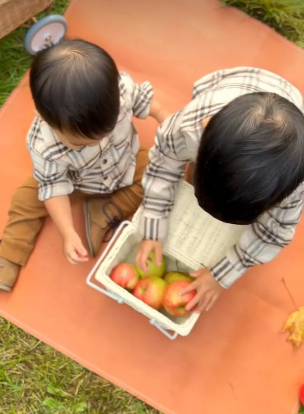 Med mat | Cosmic + Terra