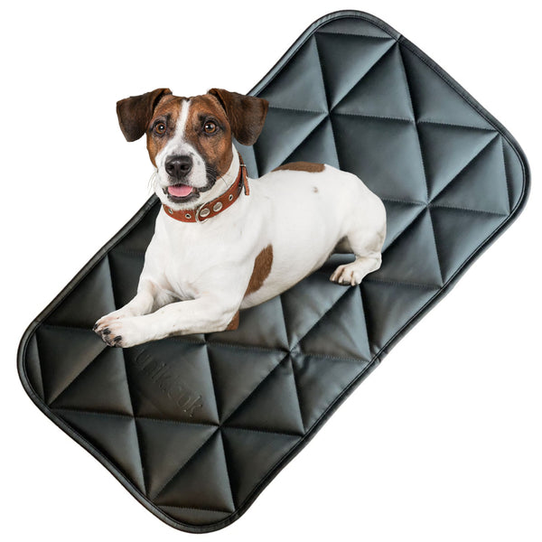 Travel dog bed | 16"x30" | Black