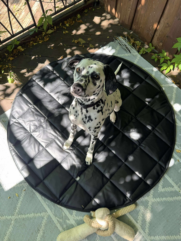 Dog Travel Bed | 35'' |  Black +Cream