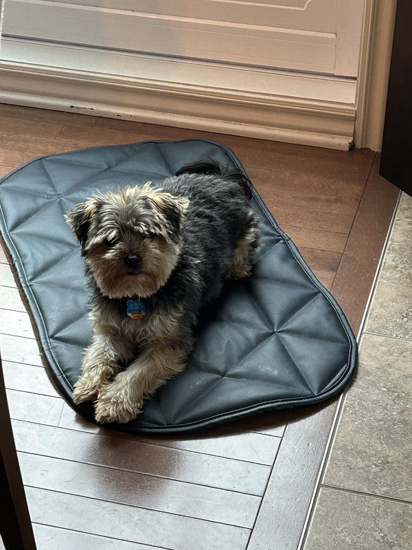 Padded Pet Bed | 16"x30" | Navy Blue