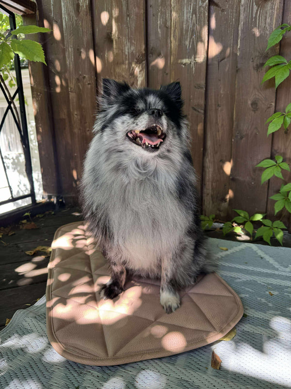 TRAVEL DOG BED | 16"x30" | pink