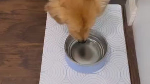 dog food mat film showing waterproof resistant