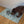 Load and play video in Gallery viewer, PET FOOD PLACEMAT | TERRAZZO BLUE