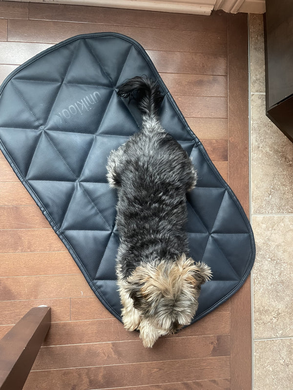 Padded Pet Bed | 16"x30" | Navy Blue