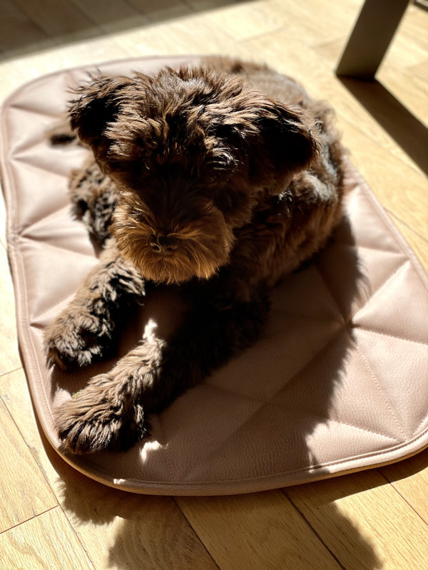 TRAVEL DOG BED | 16"x30" | pink