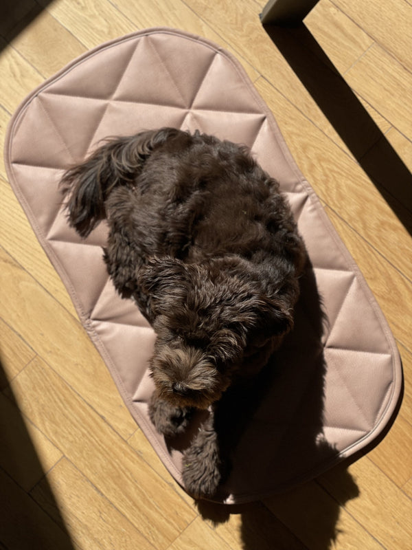 TRAVEL DOG BED | 16"x30" | pink