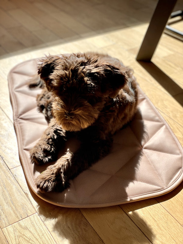 TRAVEL DOG BED | 16"x30" | pink