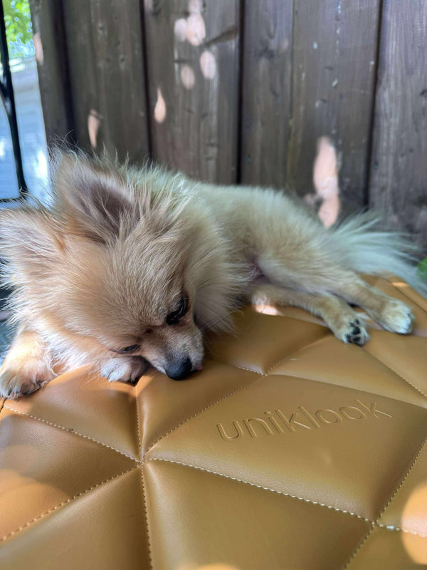 TRAVEL DOG BED | 16"x30" | Amber