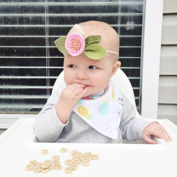 Ivy Bandana Bibs set of 6