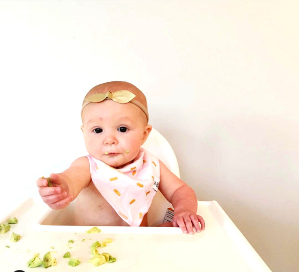 Ivy Bandana Bibs set of 6