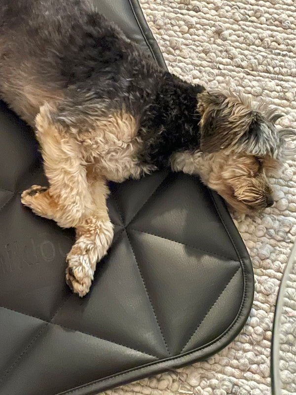 Travel dog bed | 16"x30" | Black