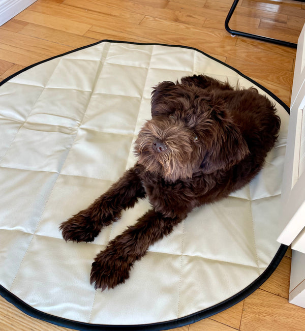 Dog Travel Bed | 35'' |  Black +Cream