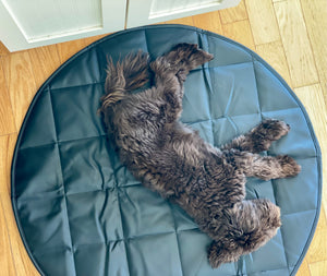 Dog lying on a round, dark-colored mat indoors.