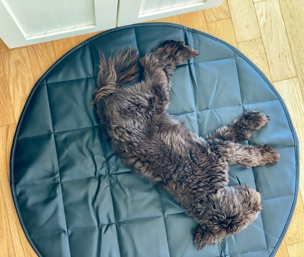 Dog Travel Bed | 35'' |  Black +Cream