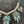 Load image into Gallery viewer, Necklace with pearls, turquoise leaves, and clear stones on a dark background
