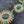 Load image into Gallery viewer, Green Sunburst Pendant Gold Statement Necklace
