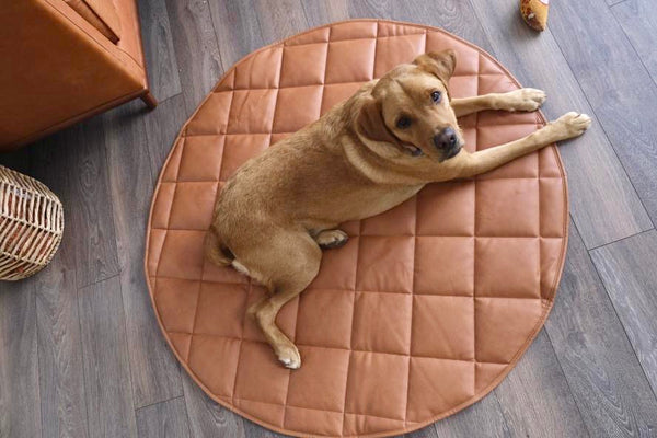 TRAVEL DOG BED | 47'' |  PUMPKIN + CREAM