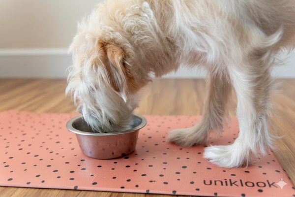 Tapis pour bols d'eau et nourriture pour animaux | Sauvage