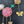 Load image into Gallery viewer, Romantic flowers statment Necklace
