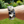 Load image into Gallery viewer, Multibracelet on a wrist with a blurred green outdoor background
