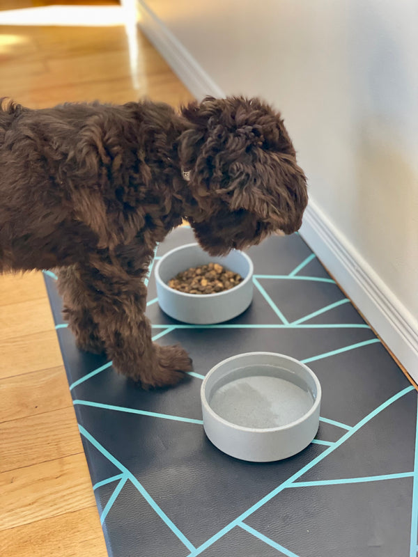 Pet food mat | avant-garde teal