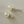 Load image into Gallery viewer, Cream translucent Double Sided Earrings
