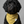 Load image into Gallery viewer, Khaki Pet Bandana Bib — Neutral Tone Pet Accessory
