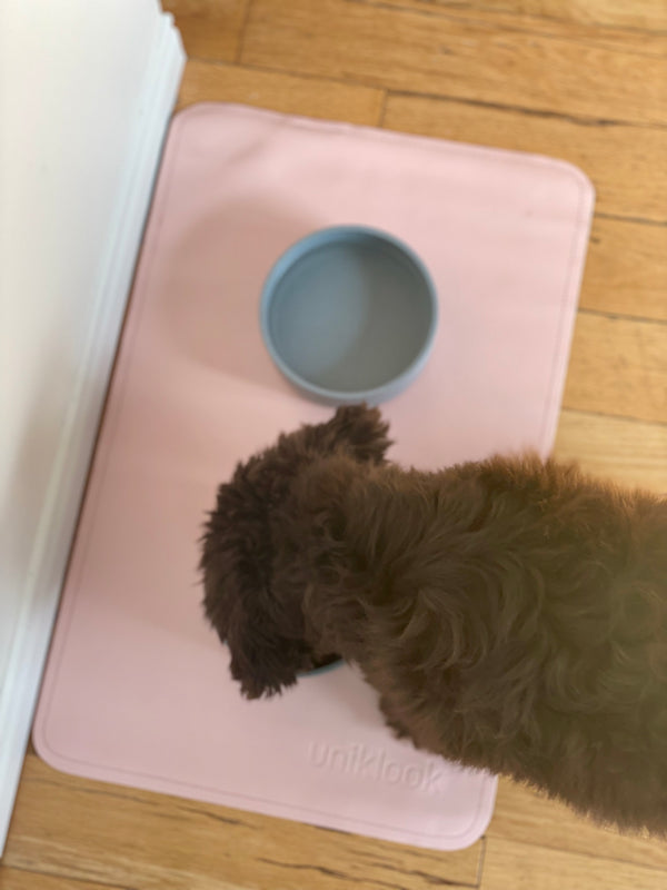 Leather pet food mat | 22"x14" | Pink