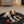 Load image into Gallery viewer, Dog lying on a black mat with toys in a cozy living room.
