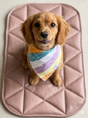 Small dog wearing a colorful bandana sitting on a pink quilted mat.