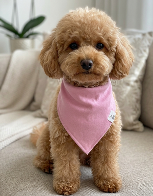 Small brown dog wearing a pink bandana sitting on a beige couch.