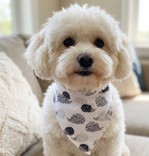 White dog wearing a bandana with hedgehog pattern sitting on a couch.