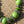Load image into Gallery viewer, closer look at the beads 
