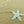Load image into Gallery viewer, Ocean Muse Starfish Necklace
