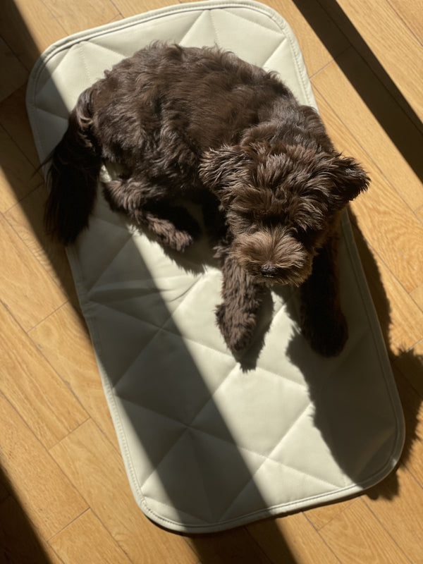 TRAVEL DOG BED | 16"x30" | Cream