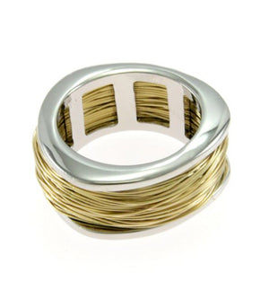 Silver and gold ring on a white background