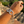 Load image into Gallery viewer, A silver-toned textured chain bracelet with circular links and dangling charms, shown worn on a person's wrist against a blurred outdoor background.

