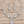 Load image into Gallery viewer, Clear rhinestone necklace and earrings on pale rustic wood
